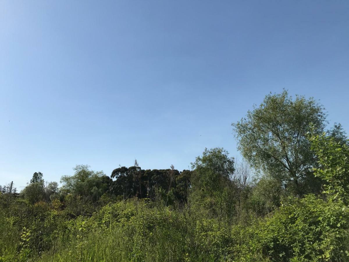 מלון גגרה Ainar מראה חיצוני תמונה